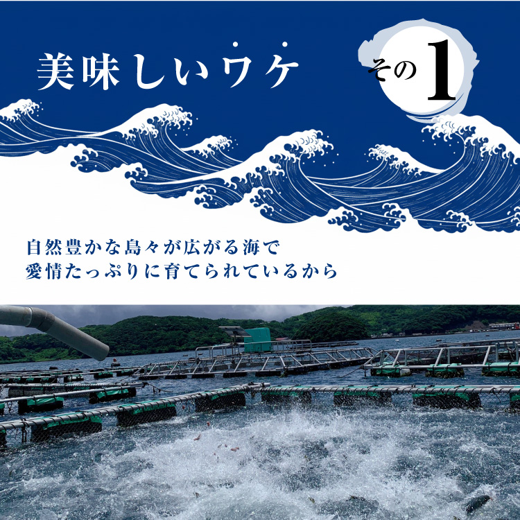 長崎県公式】坂野水産 平戸なつ香タイ 1本/2本/三枚おろし(あら付)×1