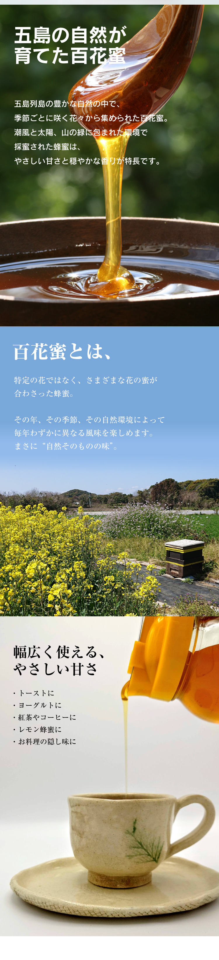長崎県公式】竹野養蜂 長崎五島列島産 純粋はちみつ（百花蜂蜜
