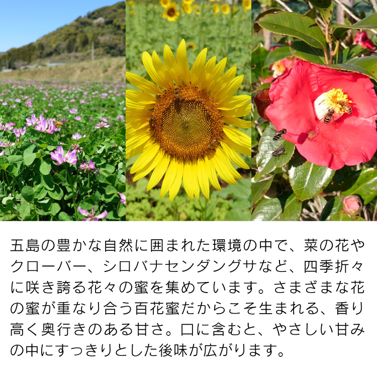 長崎県公式】竹野養蜂 長崎五島列島産 純粋はちみつ（百花蜂蜜