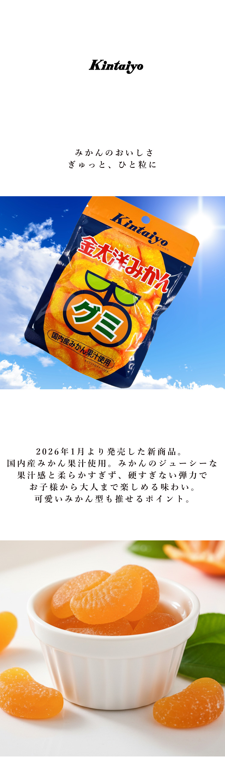 長崎県公式】金太洋 みかんグミ 40g×80袋セット : 長崎県公式 ながおし