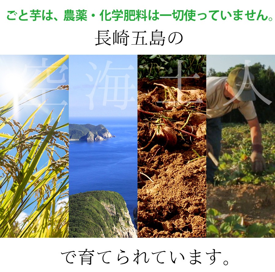 ごと芋は、農薬、化学肥料を一切使っていません