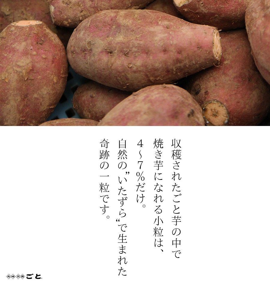 遠赤ごと芋は奇跡の一粒です