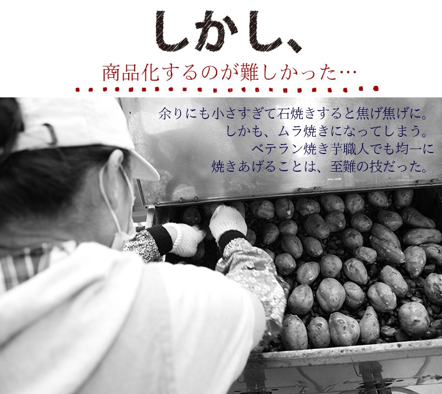 しかし商品化するのが難しかった