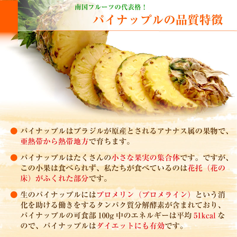 代引不可 石垣島 美らパイン ピーチパイン パイナップル 10kg 10 12玉 ギフト 沖縄産 Jaおきなわ 国産 パイン 国産パイン 甘い 通販 順次発送 60 Off Ajpsistemas Com Br