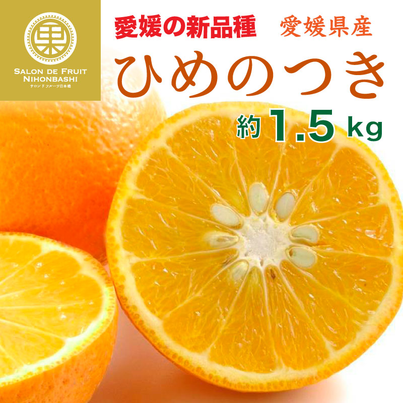 予約 2023年2月中下旬頃から発送 はるか 通販 柑橘 約2kg ギフト みかん 愛媛県産ほか ポイント交換 果実専用箱 愛媛県のブランド柑橘 贈答用