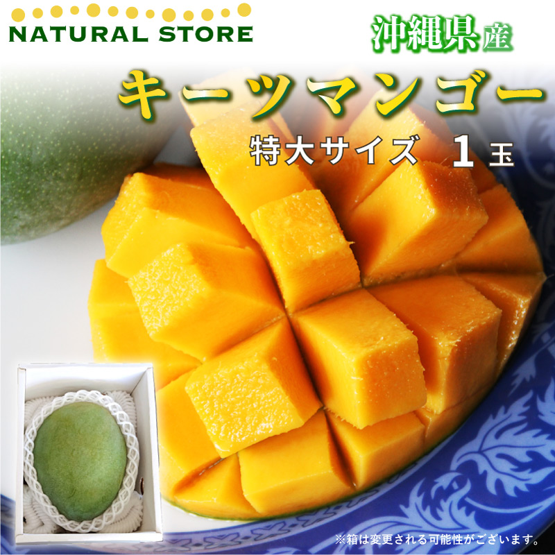 レビューを書けば送料当店負担】 サロンドフルーツ 日本橋 予約 8月10 ...