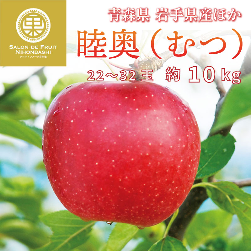 予約 11月15日-12月15日の納品] 陸奥 約10kg 22-32玉 大玉 青森県産 岩手県産ほか むつ リンゴ 産地箱 りんご 冬ギフト お歳暮  御歳暮 :mutsu10k22:サロンドフルーツ 日本橋 - 通販 - Yahoo!ショッピング