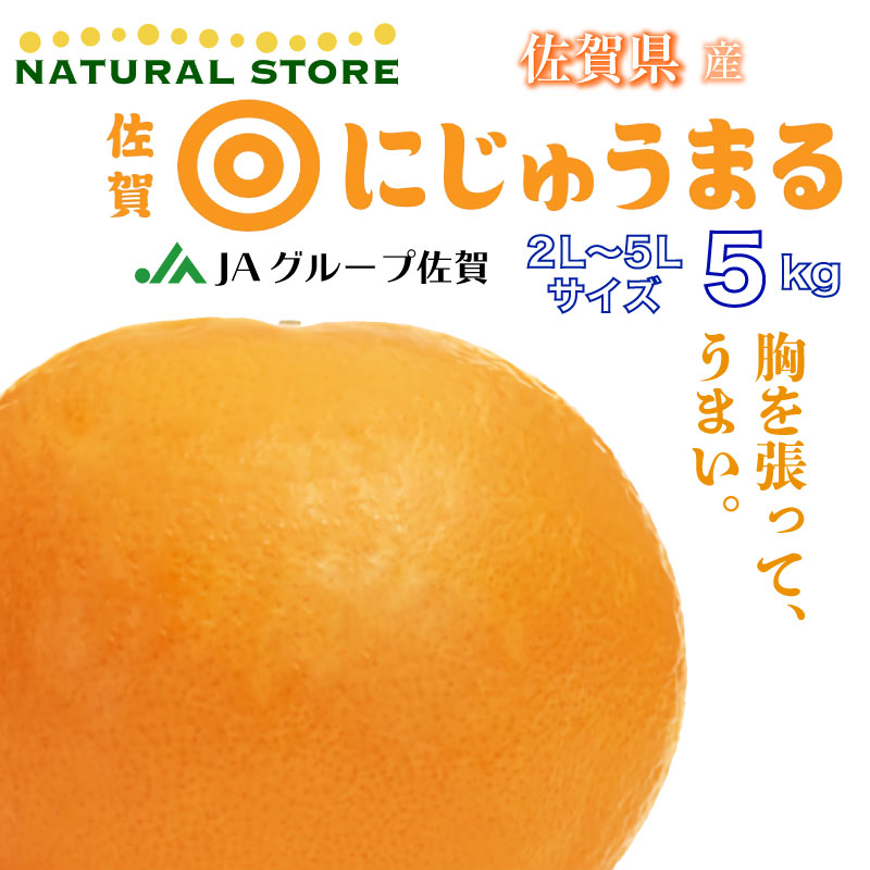 予約 3月1日-3月31日の納品] にじゅうまるみかん 約 5kg にじゅうまる 柑橘 佐賀産 :nnijyu5k:サロンドフルーツ 日本橋 - 通販  - Yahoo!ショッピング