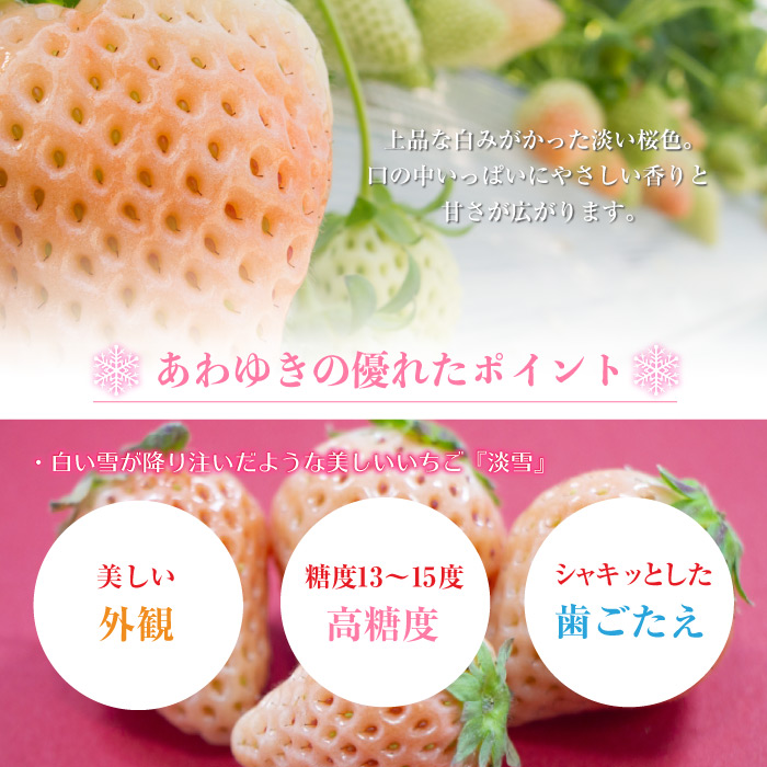 セールSALE％OFF 箱の店 底面正方形 クリアケースPNタイプ7-2 500枚入 OPN7-2
