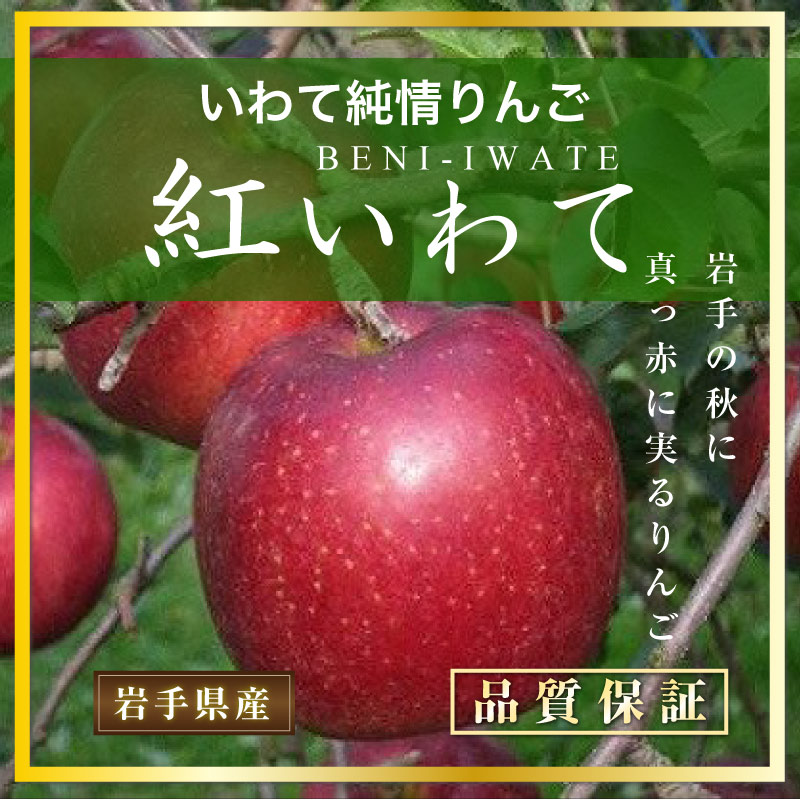 最短順次発送] 紅いわて りんご 約 5kg 14-16玉 大玉 岩手県 化粧箱 秋ギフト リンゴ 甘い 早生 早生りんご 赤りんご  :beniiwate5k14:サロンドフルーツ 日本橋 - 通販 - Yahoo!ショッピング