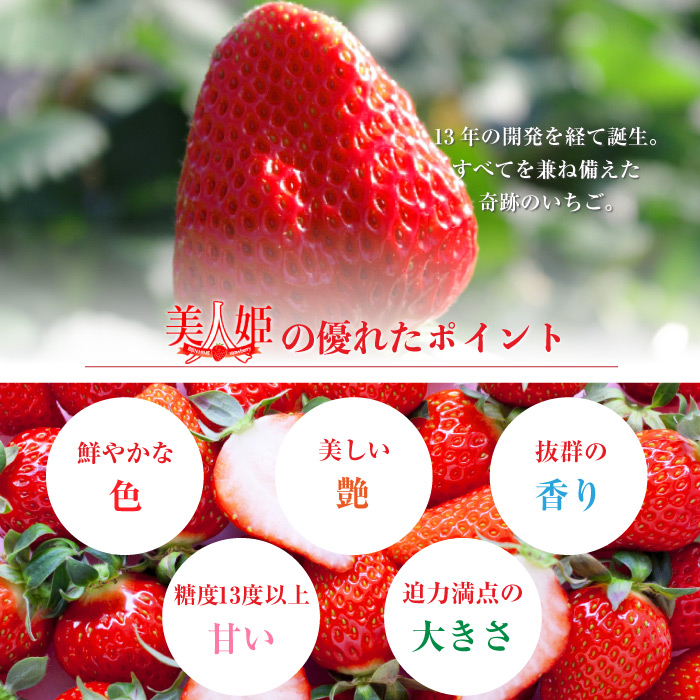 高速配送 予約 2月中旬 出荷開始 美人姫 桐化粧箱 一粒60g以上 1粒 超特大サイズ 高糖度 Dx 岐阜県産 苺 いちご イチゴ 最高級ブランド いちご ギフト ご贈答用 高級感 Kisanmitro Com 高速配送 予約 2月中旬 出荷開始 美人姫 桐化粧箱 一粒60g以上 1粒 超特大サイズ 高糖度 Dx 岐阜県産 苺 いちご イチゴ 最高級ブランド いちご ギフト ご贈答用 高級感 Kisanmitro Com