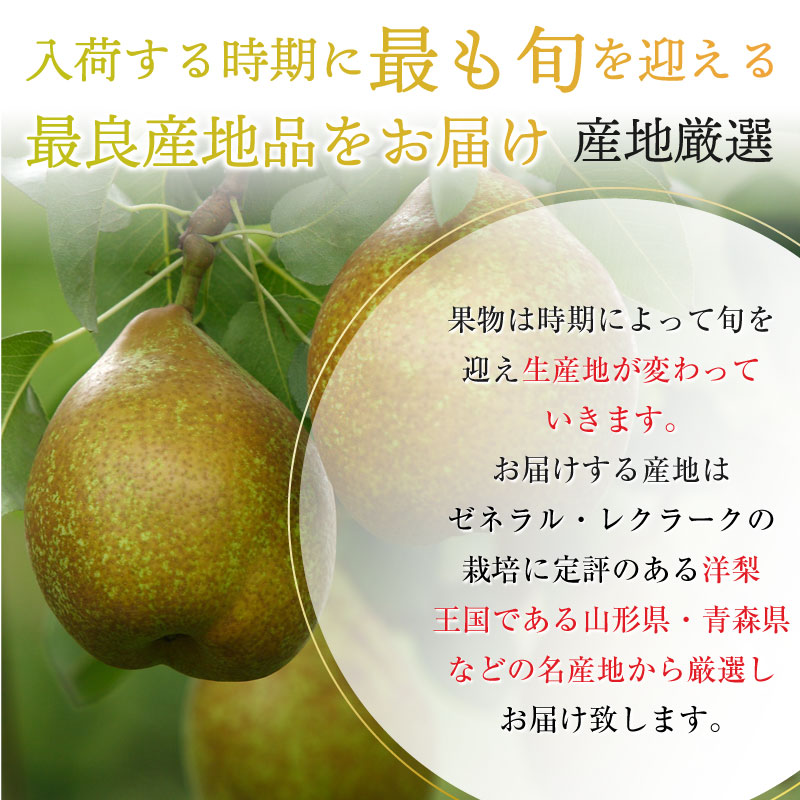 予約 11月1日-11月30日の納品] 洋梨 ゼネラル・レクラーク 約5kg 8玉-14玉 山形県 青森県産他 秋ギフト ラフランス 梨 高品位  冬ギフト お歳暮 御歳暮 :gen5k8a:サロンドフルーツ 日本橋 - 通販 - Yahoo!ショッピング