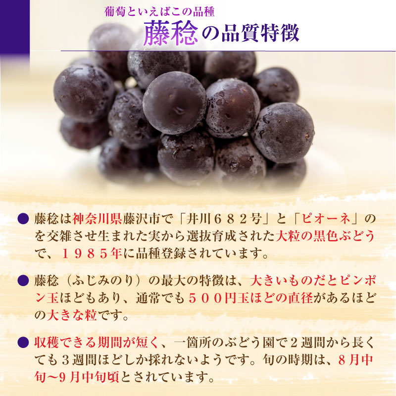 感謝価格】 藤稔 7-9房 約5kg 葡萄 山梨県産他 ぶどう ブドウ ぶどう ...