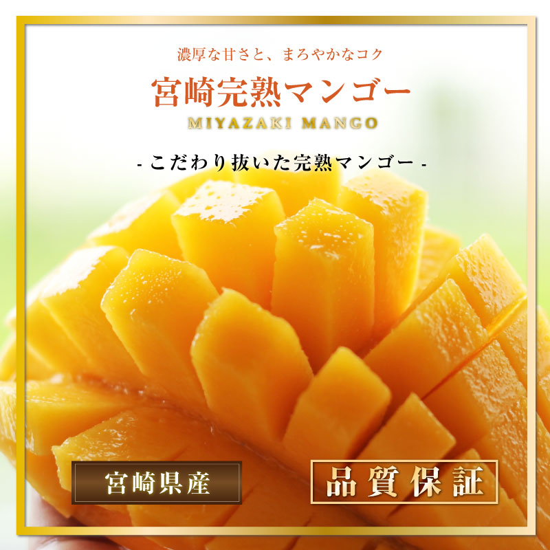 [予約 5月1日-5月15日の納品] 宮崎完熟マンゴー 5Lサイズ 特大 4玉秀品