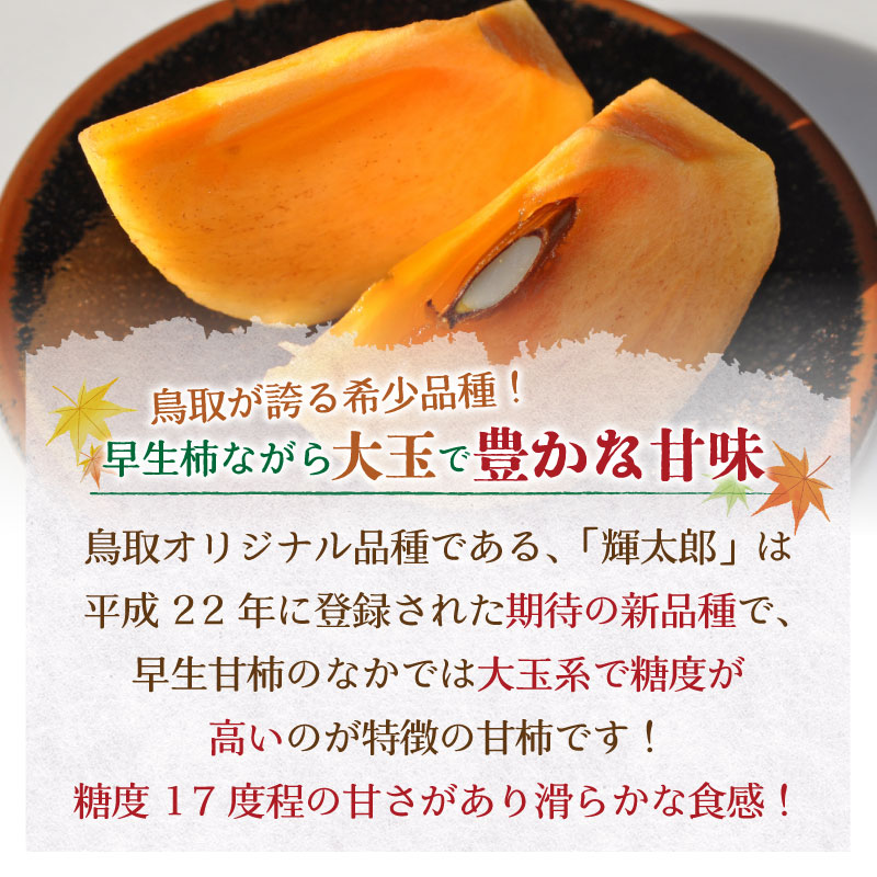 予約 10月1日-10月31日の納品] 輝太郎柿 きたろう 輝太郎 5-10玉 約2kg 鳥取県産 秋ギフト 甘柿 鳥取県のブランド甘柿 化粧箱 柿  :kitarou2k5:サロンドフルーツ 日本橋 - 通販 - Yahoo!ショッピング