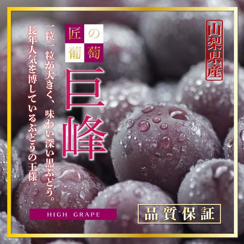 予約 9月15日-9月30日の納品] 太陽のタマゴ 1玉 宮崎県産 匠の葡萄