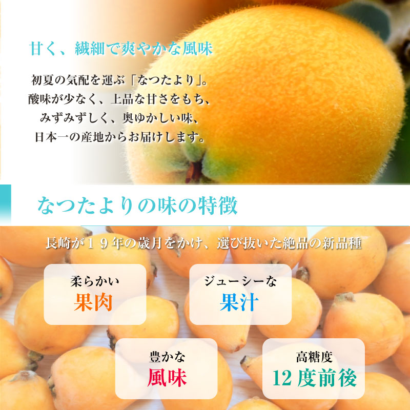 予約 2023年5月10日-30日の納品] 長崎びわ ブランドびわ 約500g 枇杷 なつたより 美味しい 2L-5L ギフト 他 長崎県産 250g× 2パック 大玉サイズ びわ | changeyourworld.com.my