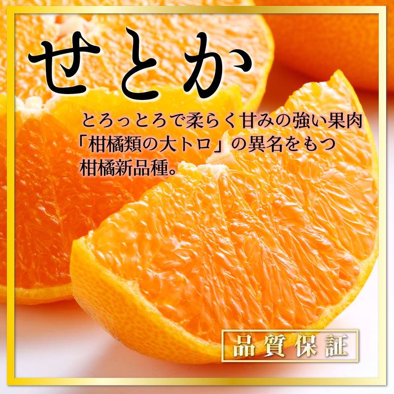 予約 2023年2月上中旬頃から発送] せとか 約1.5kg L 2L 5-9玉 愛媛県 佐賀県他 化粧箱 高級柑橘  :stk15kl2l:サロンドフルーツ 日本橋 - 通販 - Yahoo!ショッピング