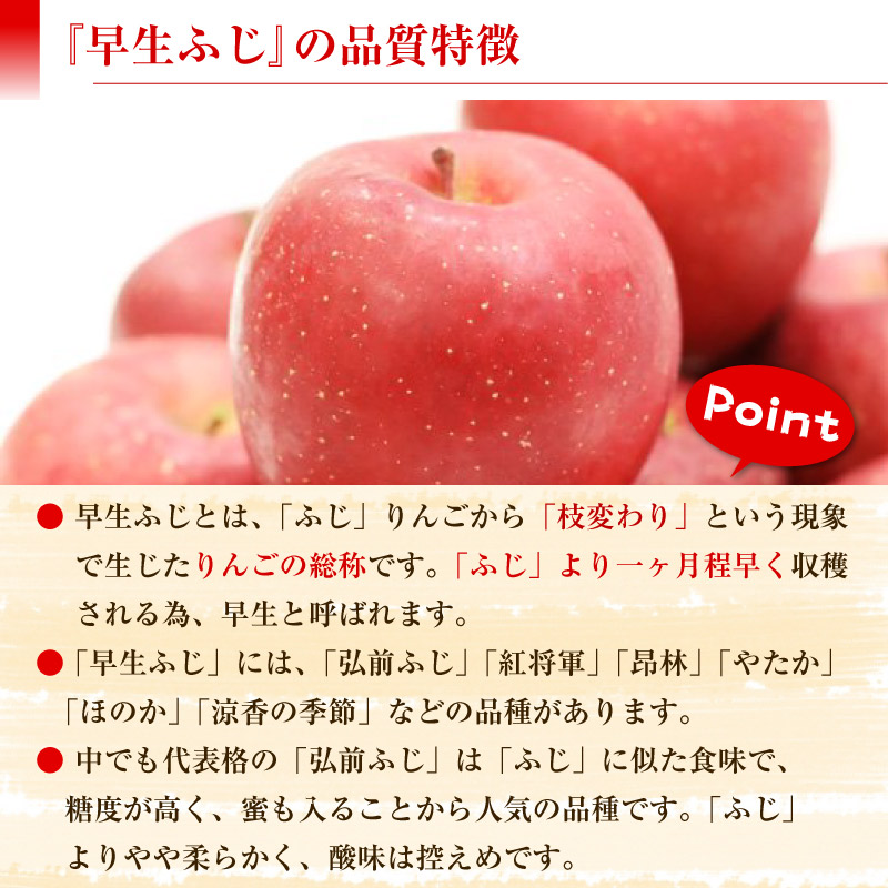 予約 10月1日-10月31日の納品] 早生ふじ 約 2kg 5-6玉 大玉 長野県 化粧箱 秋ギフト フジ 赤りんご 果実専用箱  :wasefujin2k5:サロンドフルーツ 日本橋 - 通販 - Yahoo!ショッピング