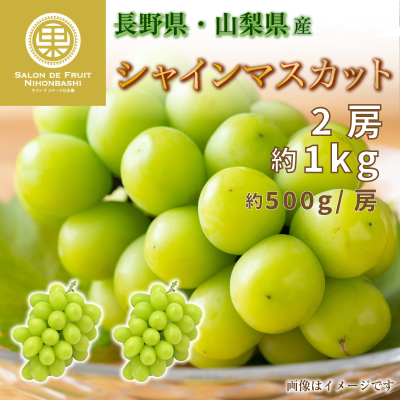 [最短順次発送] シャインマスカット 2房 約1kg 約500g x2 長野県 山梨県産 マスカット ぶどう 高糖度 ギフト 贈答用 通販 秋の味覚  :sm500g2:サロンドフルーツ 日本橋 - 通販 - Yahoo!ショッピング