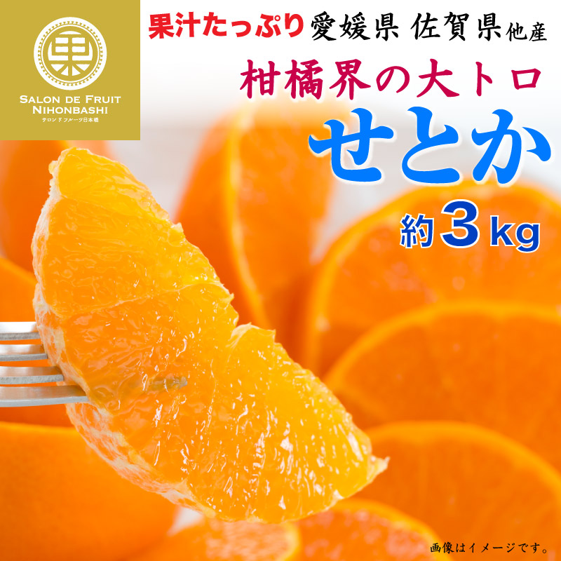 河内晩柑 3.5kg 家庭用 M-2L 送料無料2,980円 ギフト 同品種 愛媛県愛南町産 サイズ混合 宇和ゴールド