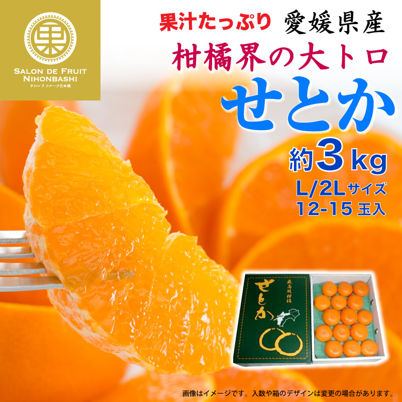 [予約 2023年2月上中旬頃から発送] せとか 約3kg L 2L 愛媛県 化粧箱 人気 柑橘類 柑橘類の大トロ セトカ プレゼント 冬ギフト