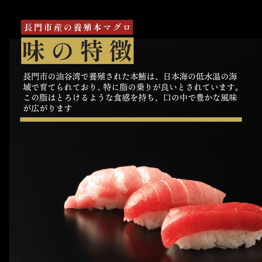 養殖本まぐろ 中トロ赤身セット