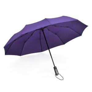 折りたたみ傘 メンズ レディース 自動開閉 大きい 折り畳み傘 大きいサイズ ワンタッチ 撥水 風に...
