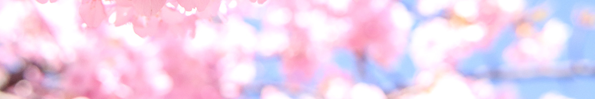 桜のフレーム下段