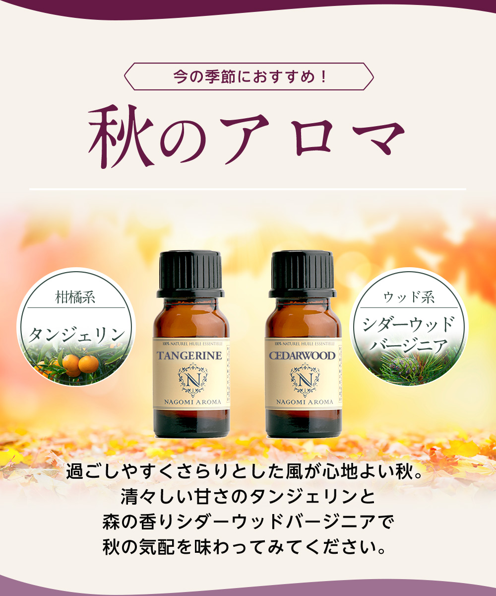 専門ショップ NAGOMI AROMA エッセンシャルオイル6本セット リラックス