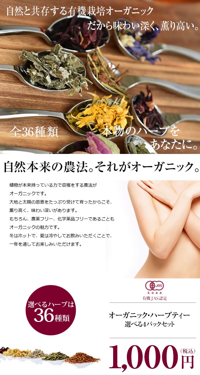 ハーブティー オーガニック 種類  お茶 ティー 大容量  日本全国送料無料 マローブルー 50g  有機 健康