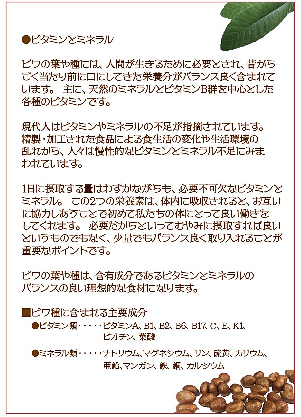 びわ種 長崎県産 枇杷種粉末 ビワの種100% 100g×３袋 : 1170-03