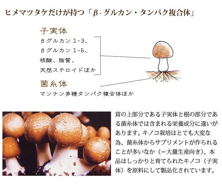 姫マツタケATOP 顆粒粉末タイプ 60包入り : 0021 : 名古屋自然食品