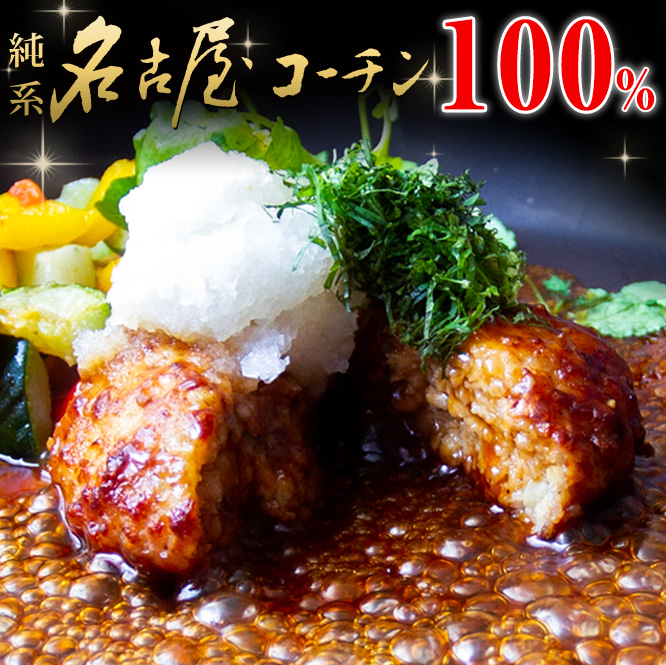 お中元 2025 父の日 純系 名古屋コーチン ハンバーグ 8個 岩塩付き 化粧箱入 ギフト お取り寄せ グルメ 食べ物 国産 高級 冷凍 出産内祝い お礼 人気 | 