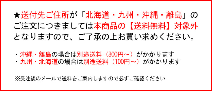 パラジェル スーパースカルプジェル クリア 25g para gel パラジェル