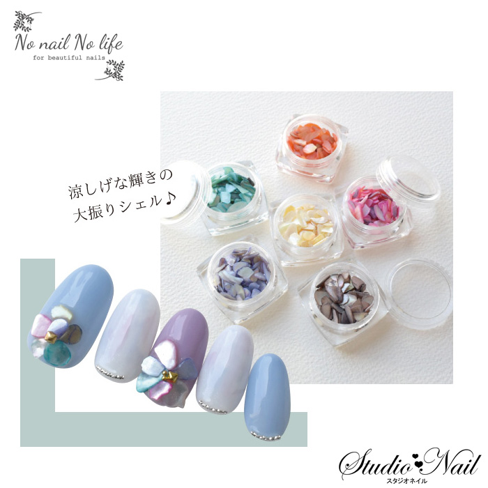 ꡦ߸˽ʬʡNO NAIL NO LIFE 륹ȡ ƥ 6