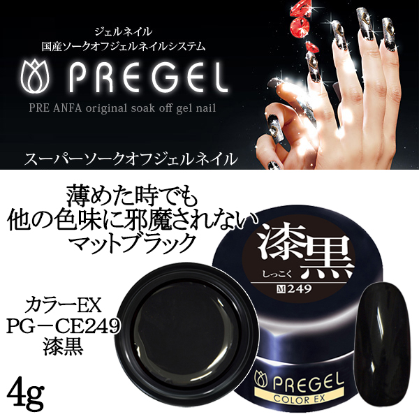 プリジェル PREGEL カラーEX PG-CE249 漆黒 4g｜nail-studio｜02
