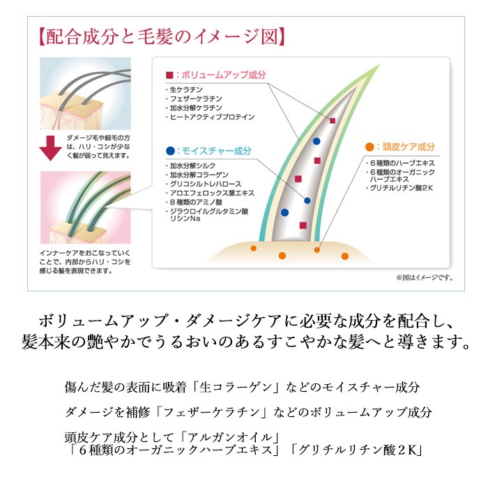 送料無料 ナプラ インプライム ボリュームアップ 小セット シャンプー