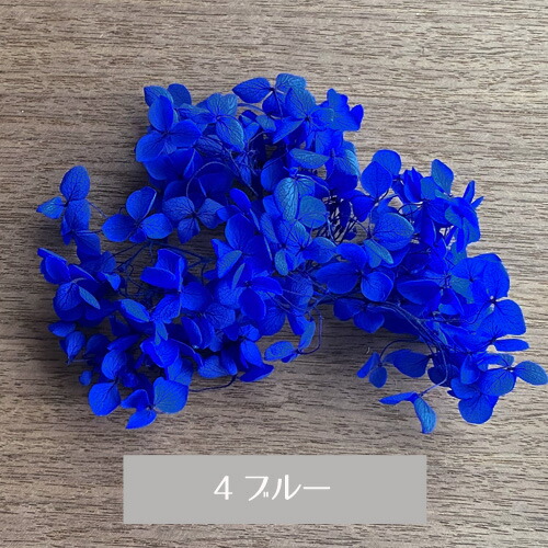 メール便(日本郵便)送料無料 プリザーブドフラワー 紫陽花