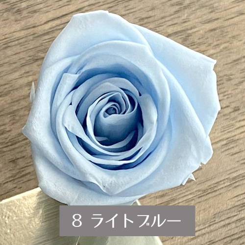 完成品 （素材）プリザーブドフラワー 青系薔薇8輪 - 通販 - happyhead.in