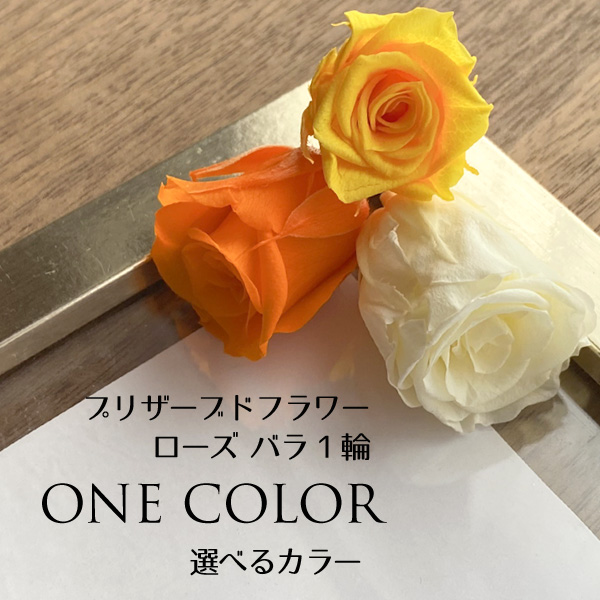 プリザーブドフラワー バラ 1輪 ビタミンカラー系 選べる2色 オレンジ イエロー｜nail-studio