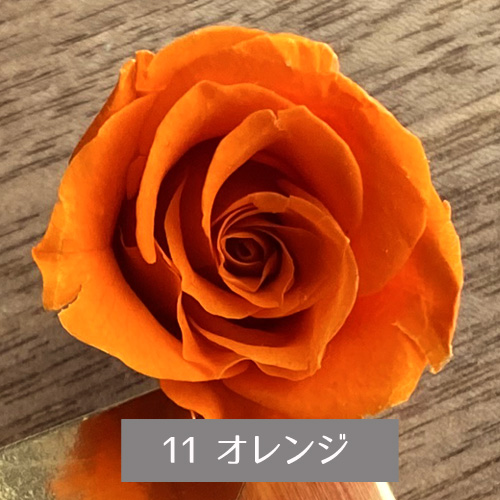 プリザーブドフラワー バラ 1輪 ビタミンカラー系 選べる2色 オレンジ イエロー｜nail-studio｜02