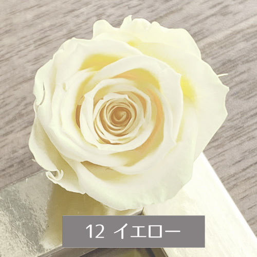 プリザーブドフラワー バラ 1輪 ビタミンカラー系 選べる2色 オレンジ イエロー｜nail-studio｜03