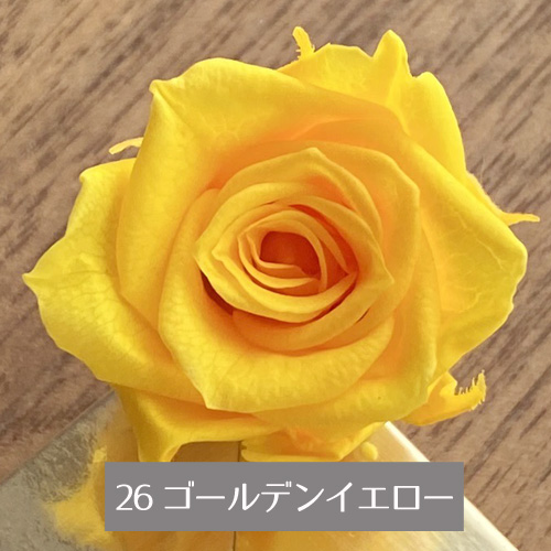 プリザーブドフラワー バラ 1輪 ビタミンカラー系 選べる2色 オレンジ イエロー｜nail-studio｜04