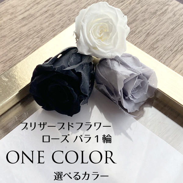 プリザーブドフラワー バラ 1輪 モノトーン系 選べる3色 クリーム ホワイト ブラック グレー｜nail-studio