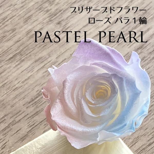 プリザーブドフラワー バラ 1輪 パステルミックスパール｜nail-studio