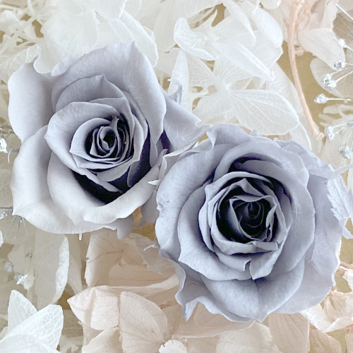 メール便(日本郵便)送料無料 プリザーブドフラワー グレー バラ 2輪