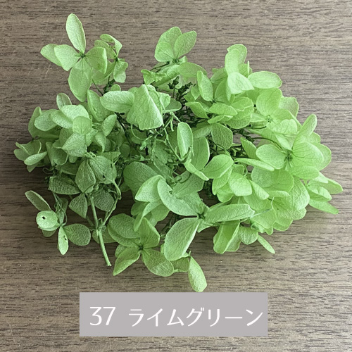 メール便(日本郵便)送料無料 プリザーブドフラ...の詳細画像1