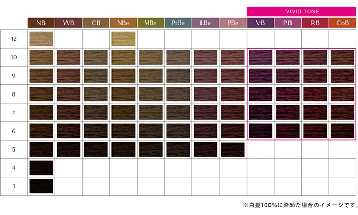 資生堂 プリミエンス エンリッチ ピンクブラウン10 4本セット 62本付