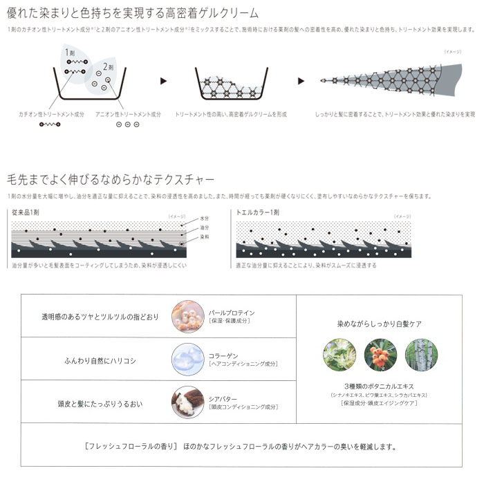 toel トエル グレイカラー AB アッシュブラウン 100g 白髪染め 1剤 インターコスメ ヘアカラー